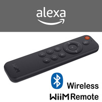 Bluetooth Voice Remote